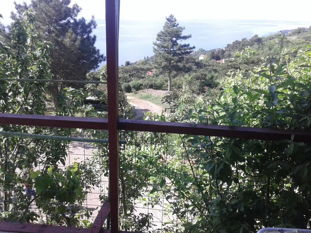 Уютный номер с видом на море