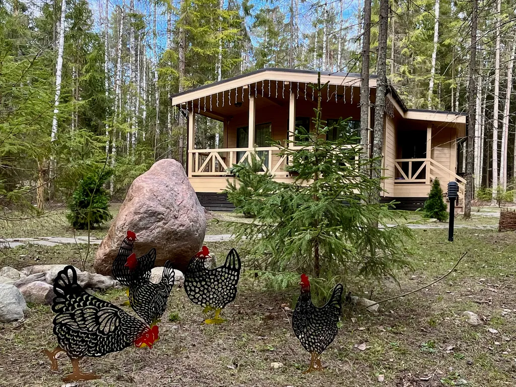 Коттедж Коттедж Гармония леса на берегу озера Волго на Селигере — Турбаза Чайка