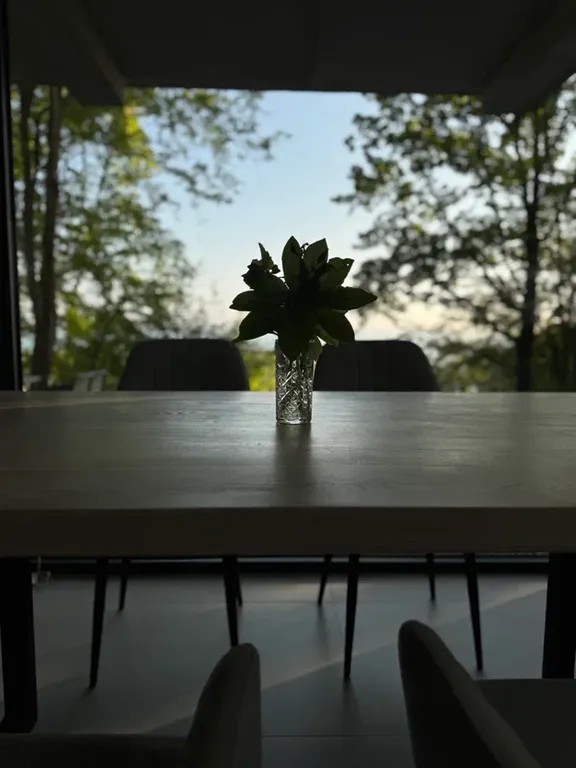 Коттедж Лесной дом