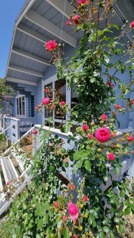 1-комнатный Дом