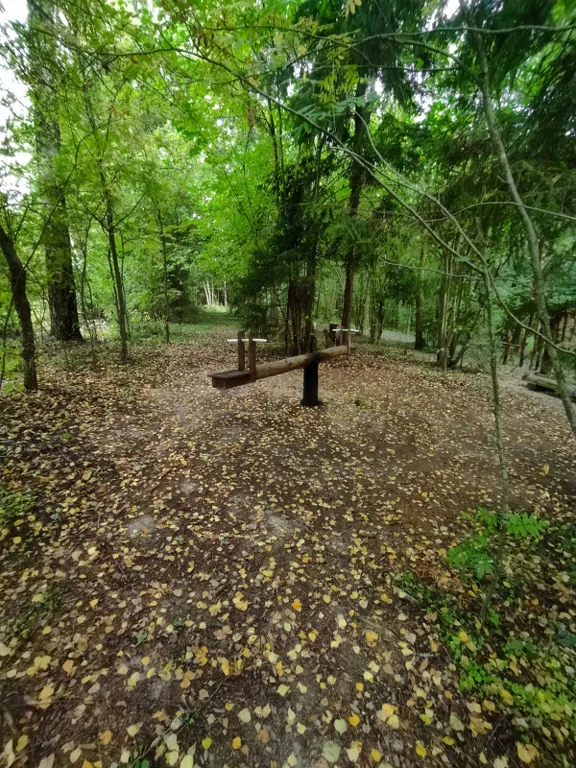 Коттедж Уютный дом в окружении векового леса — Рогачево