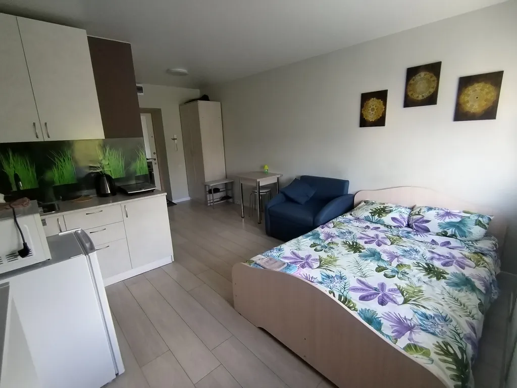 Квартира-Студия Автовокзал-Арена-Агрегатный завод