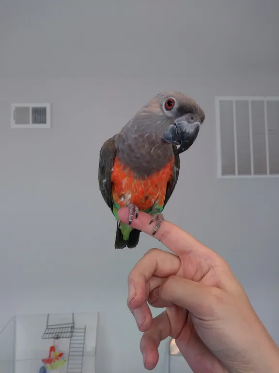 Прекрасный номер в Стейтен-Айленде