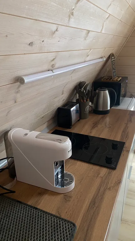 Дом с чаном среди соснового леса