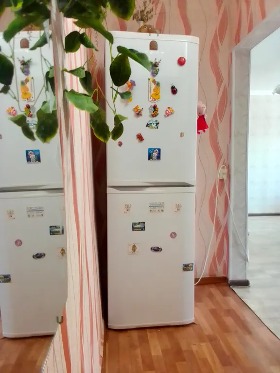 Уютная однокомнатная квартира с домашней обстановкой