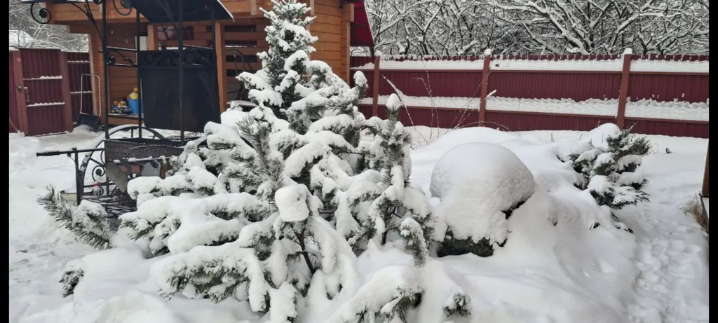 Лесной уголок