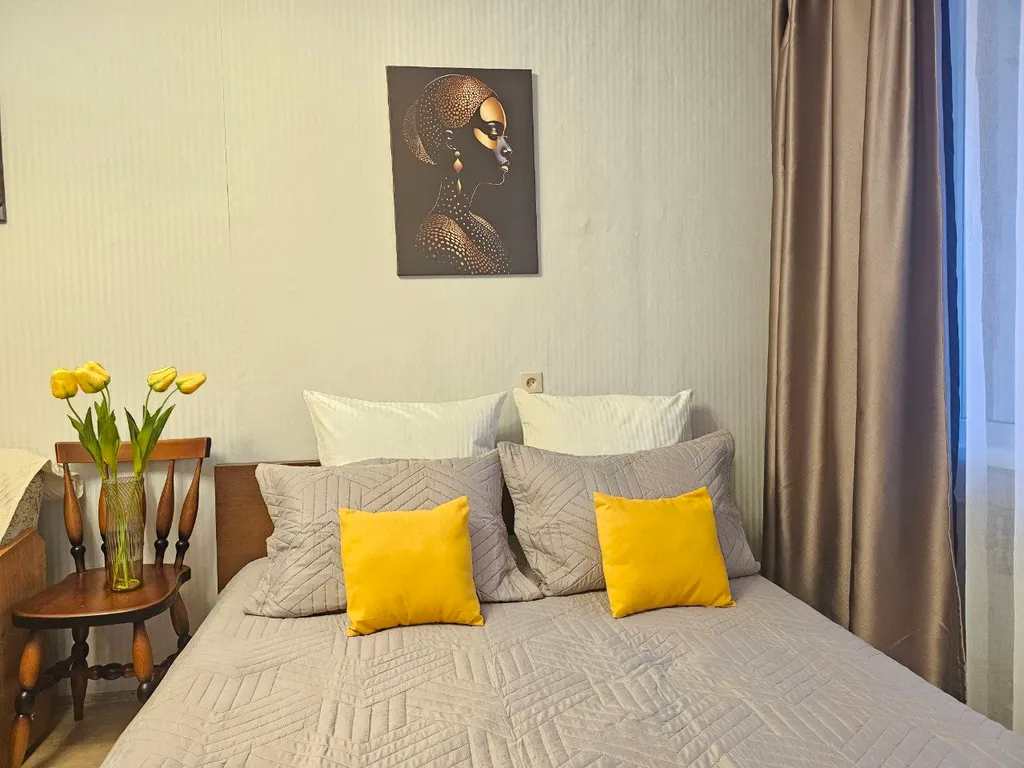 Просторная однокомнатная квартира