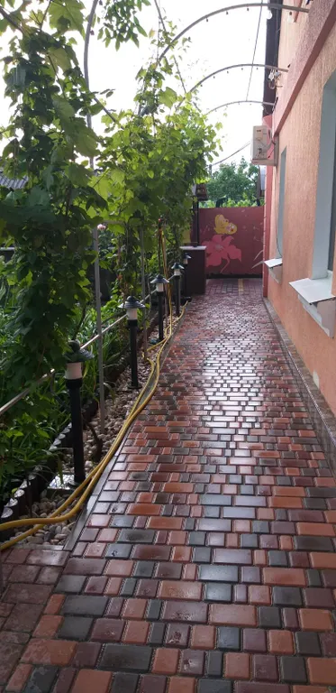 Дом без хозяев и других отдыхающих