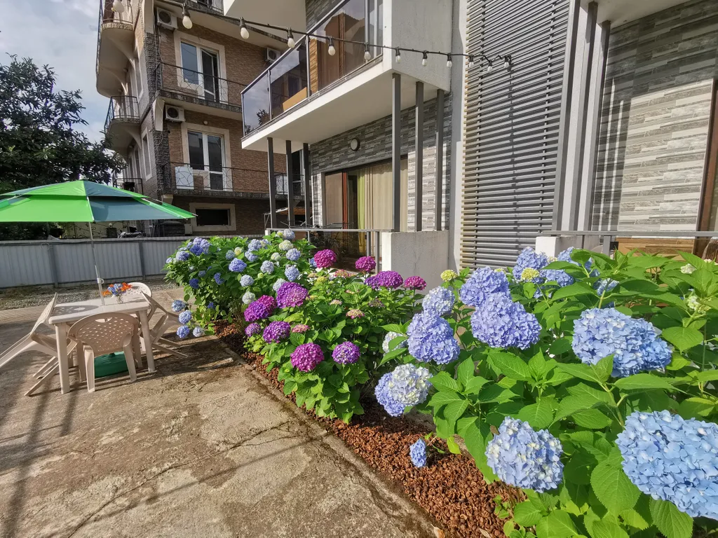 Уютные апартаменты на море, у пляжа с лечебным песком