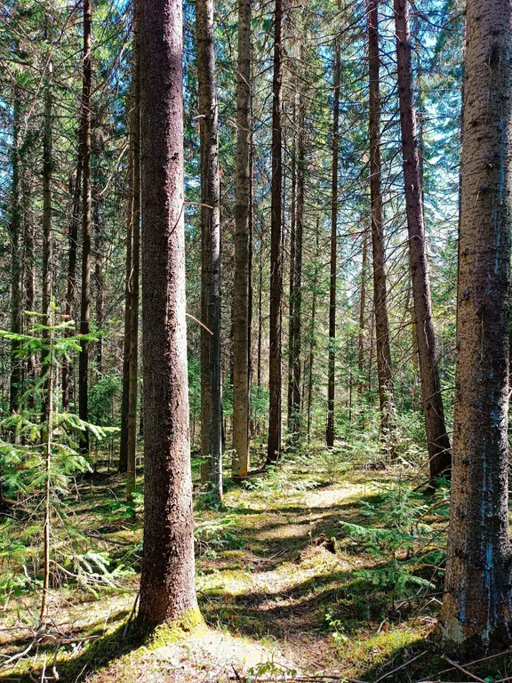 Гостевой дом счастье любит тишину