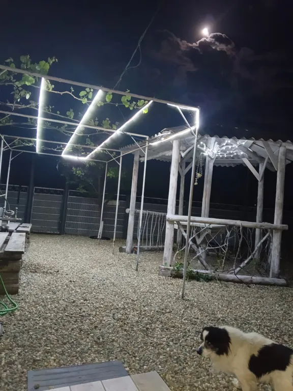 Апартаменты у моря