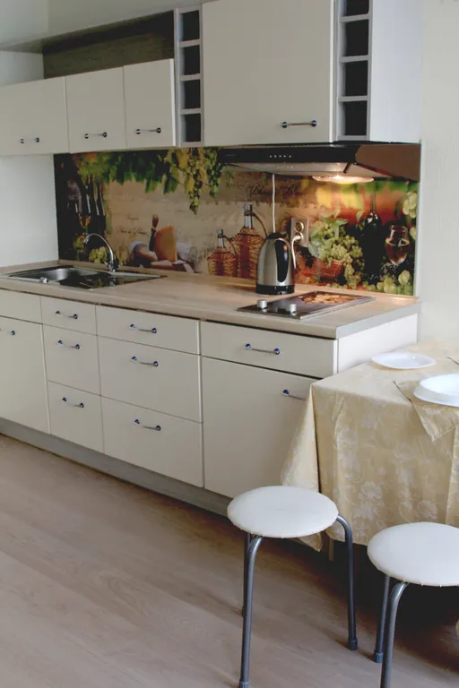 Квартира Квартира Ваша студия у Балт. моря недалеко от центра — Санкт-Петербург