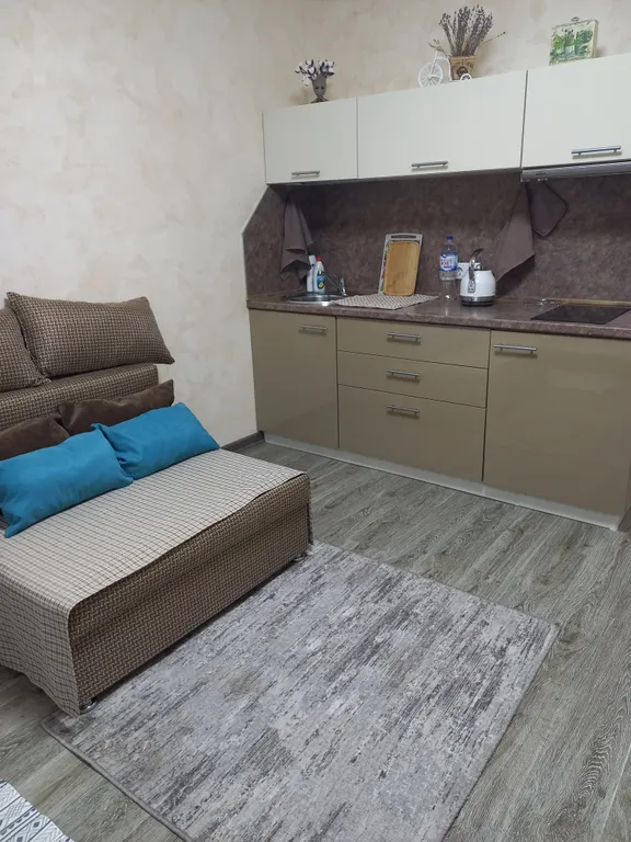 Уютная студия в тихом районе, вблизи Зимнего театра