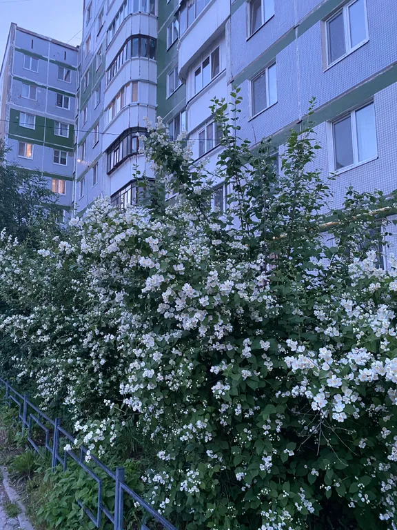 Уютная квартира в тихом районе