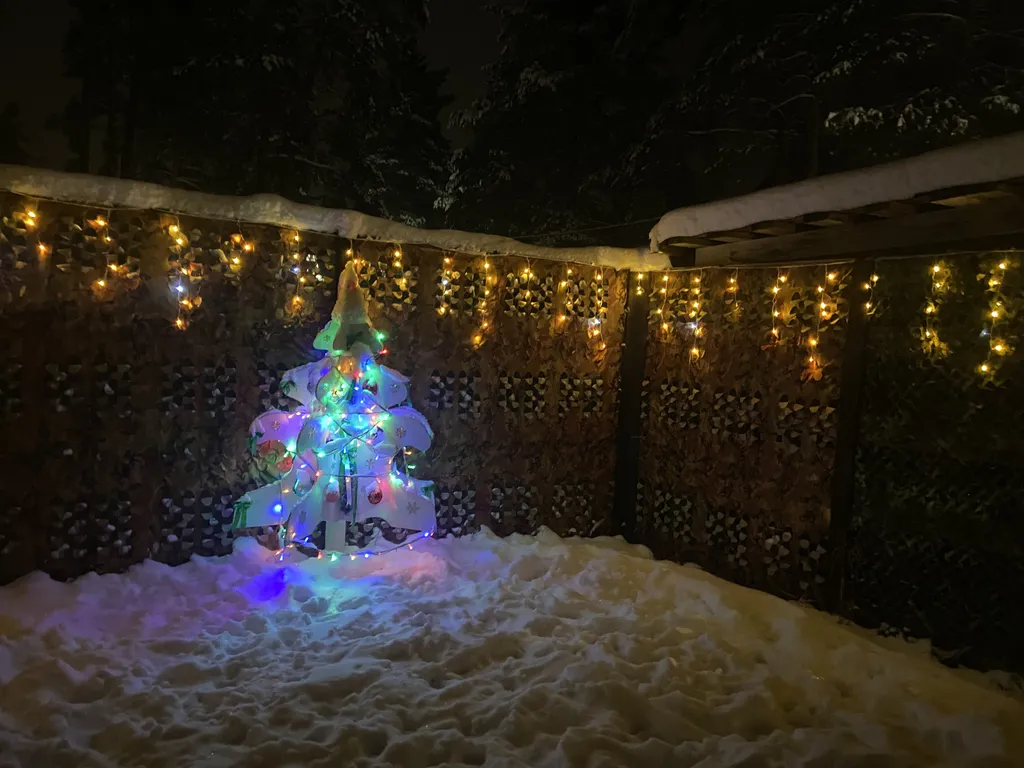 Дом в черте города в сосновом лесу