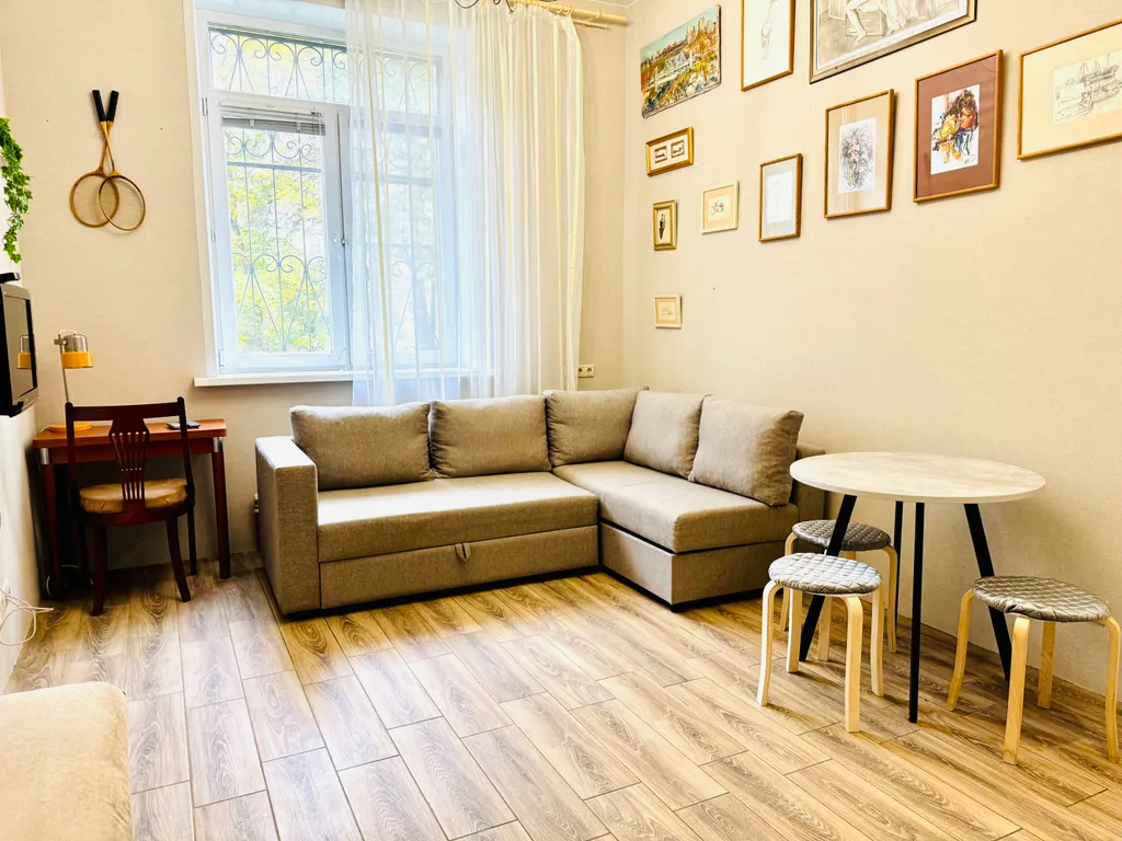 Просторная однокомнатная квартира