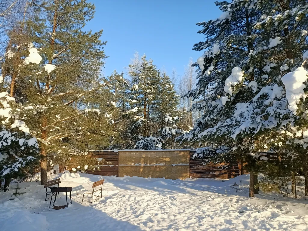 Уютный барнхаус с видом на лес