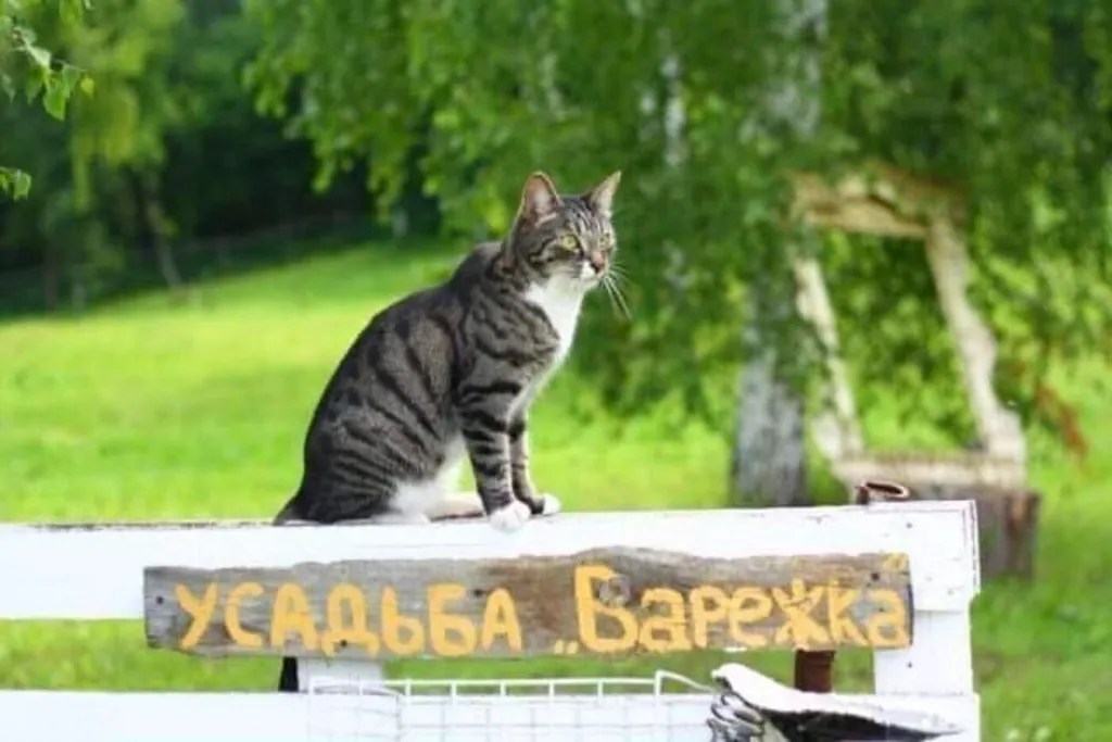 Домик на берегу Оки в сельской усадьбе Варежка