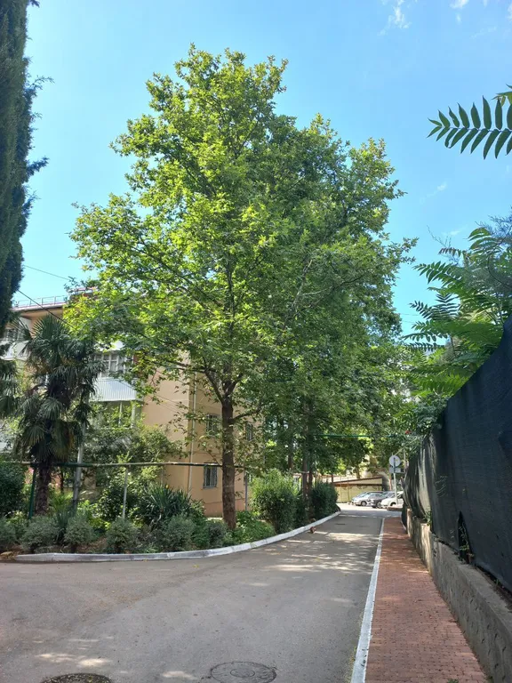 Двухкомнатная с двориком