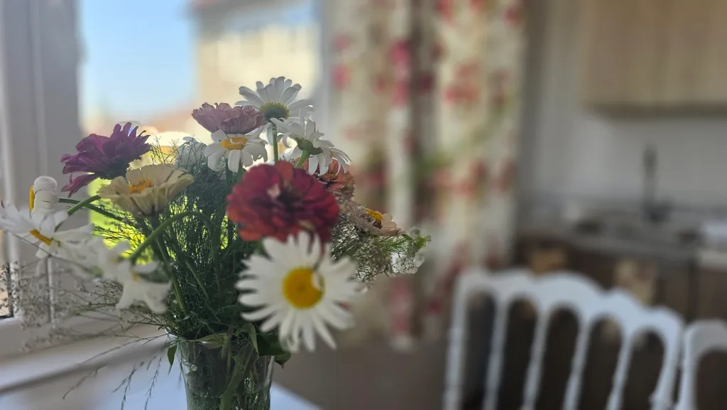 Квартира Уютные апартаменты в центре города — аренда посуточно в Сухум