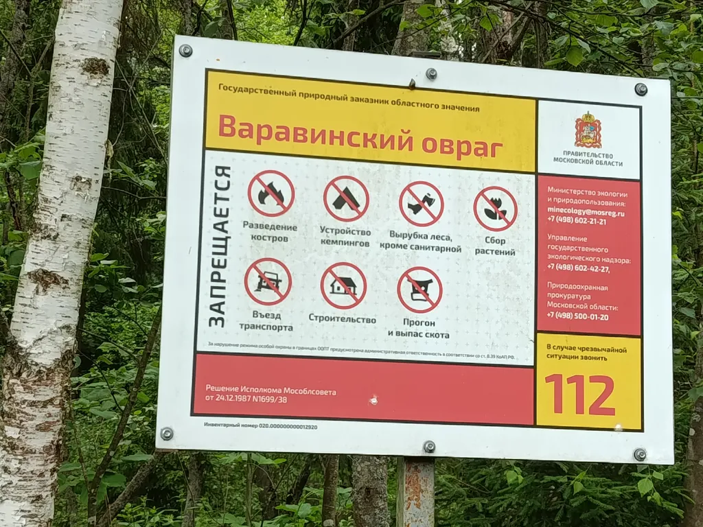 Дом Кипарис деревня Охотино