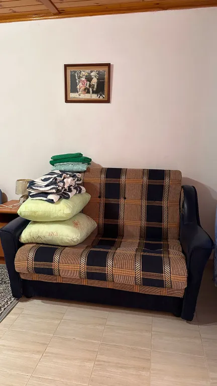 Большая благоустроенная комната с террасой