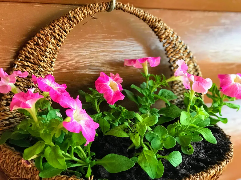 Уютный Двухэтажный коттедж с шикарной Баней на дровах