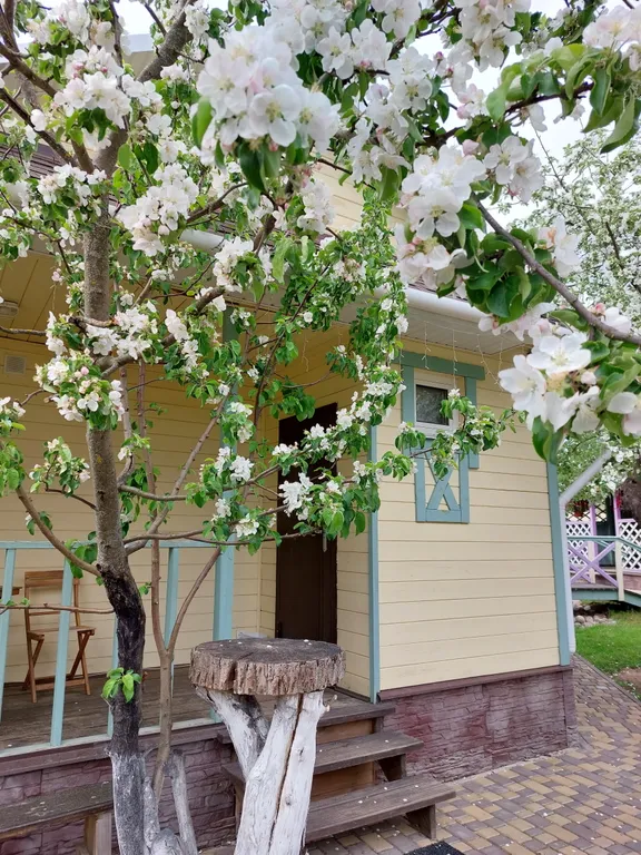 Маленький домик с ангелом