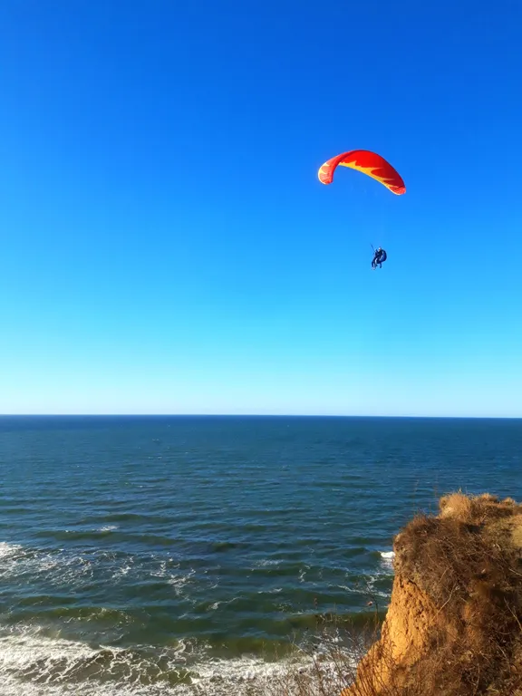 Подсолнух у моря