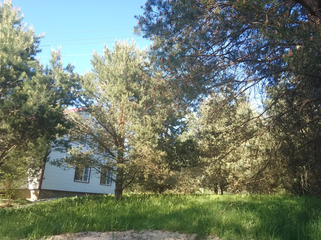 Эко Таунхаус Хитрый Лис Парк