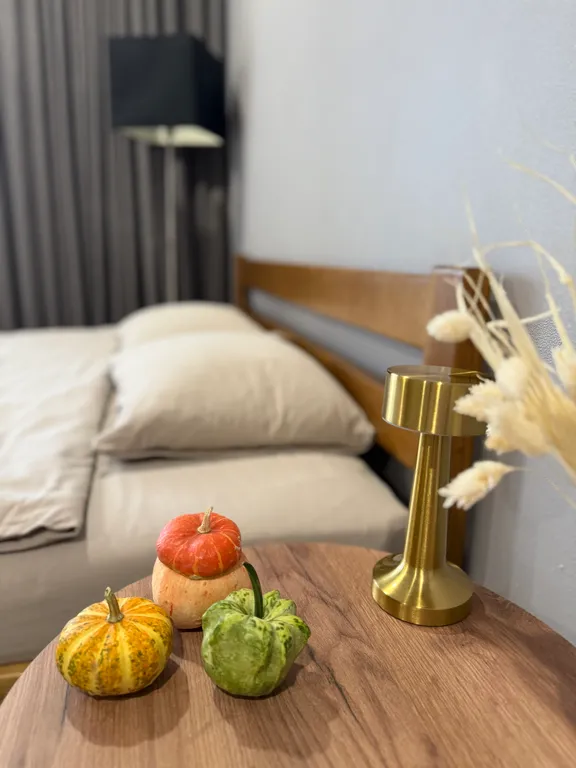 Стильная видовая студия в центре города