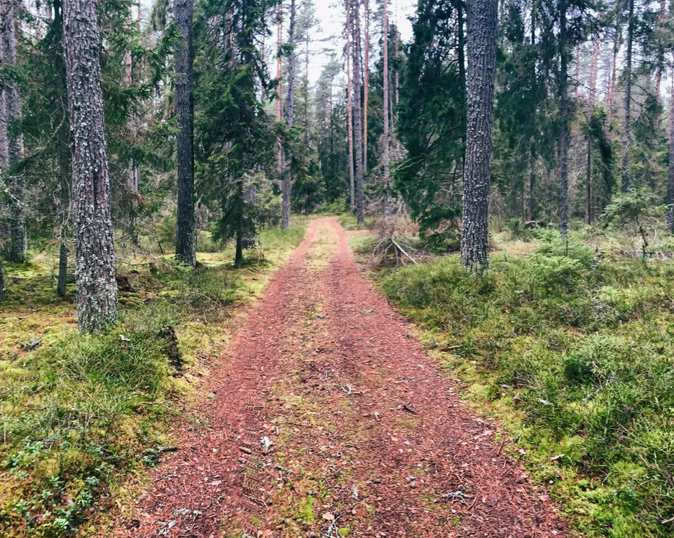 Нурми дом у реки