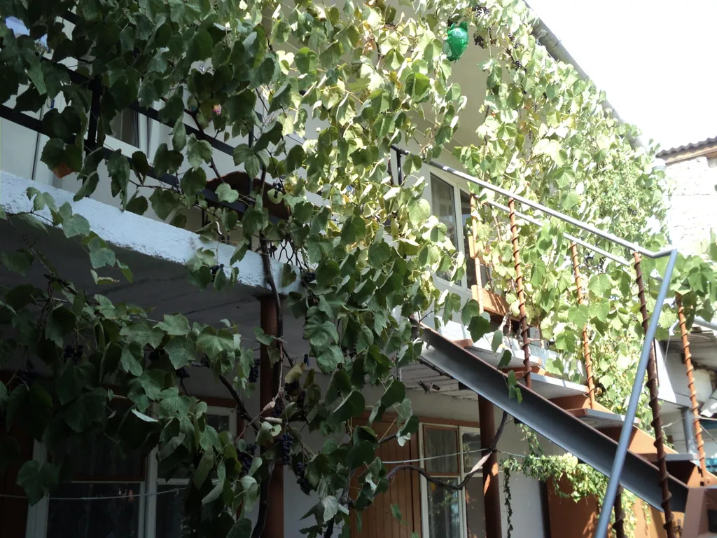 Двухместный номер эконом