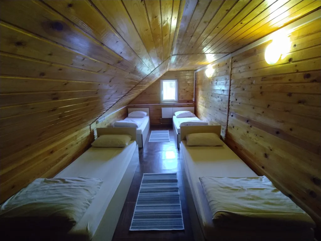 Дом через сосновый лес у Балтийского моря