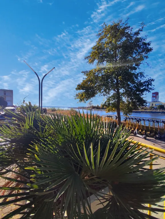 Квартира 1-комнатная Квартира — Сириус