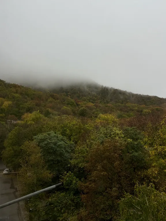 Чистая квартира в куротной зоне с видом на гору