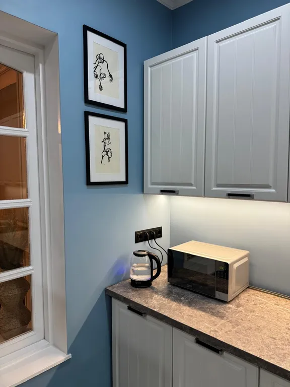 Винтажная квартира с камином в центральном районе Тбилиси, Чугурети