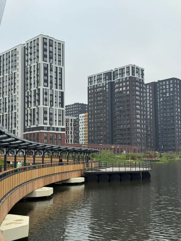 Joy прокшинский