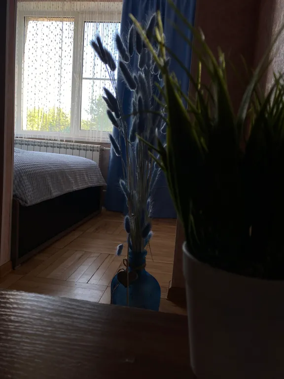 Уютная квартира с видом на парк Победы