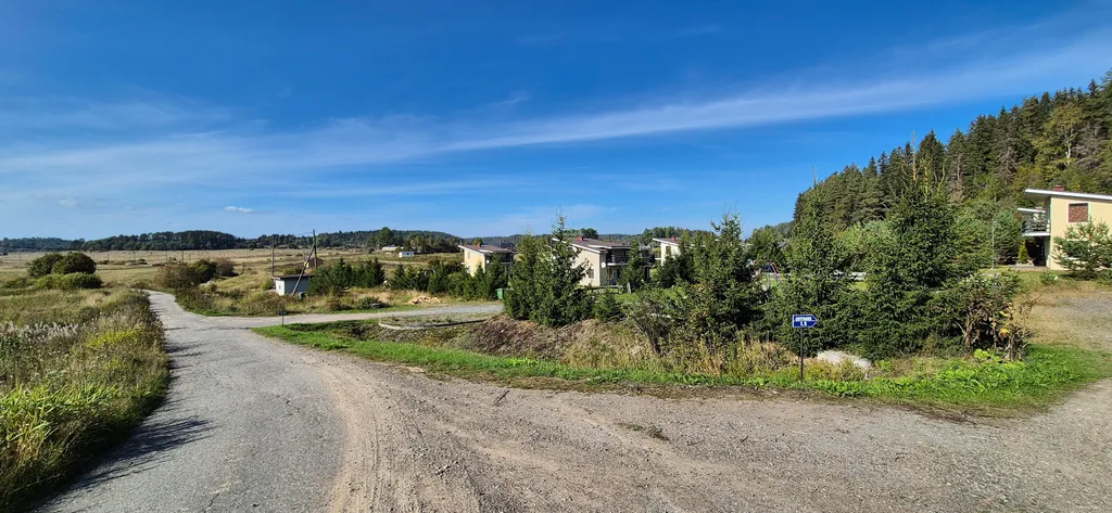 Куркиёки у леса