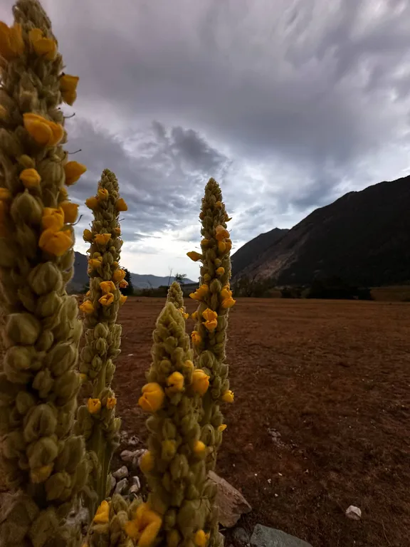 Барнхаус с шикарным видом на горы