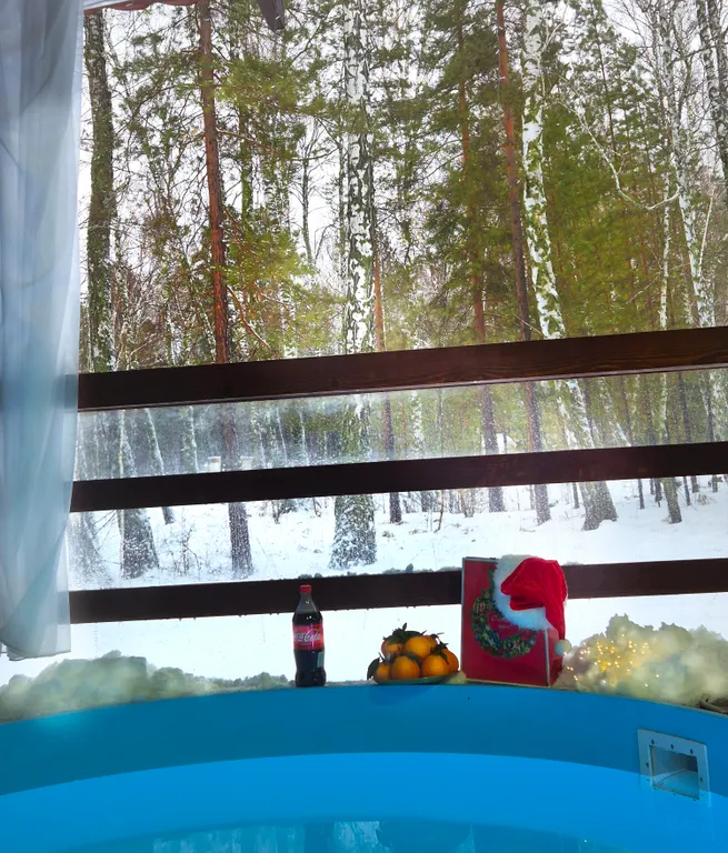 Дом с баней и бассейном