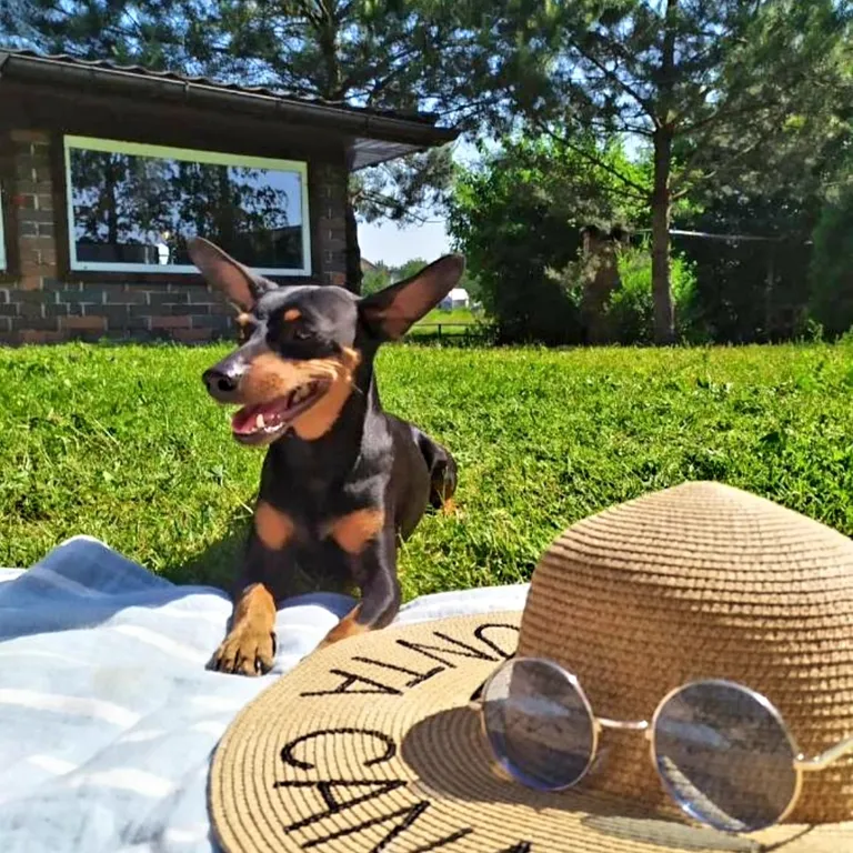 Дом с шикарной беседкой на озере