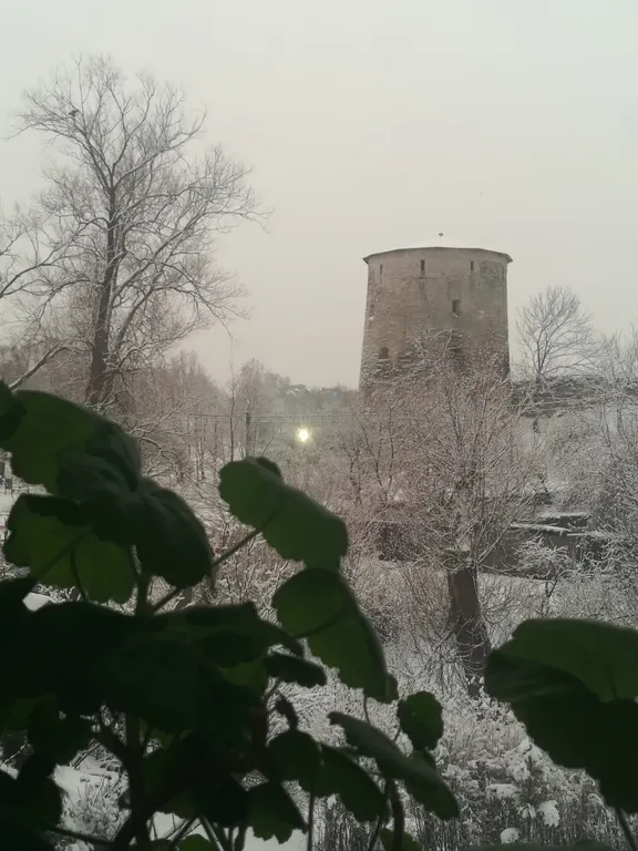 Просторные удобные апартаменты в тихом живописном месте у Гремячей Башни