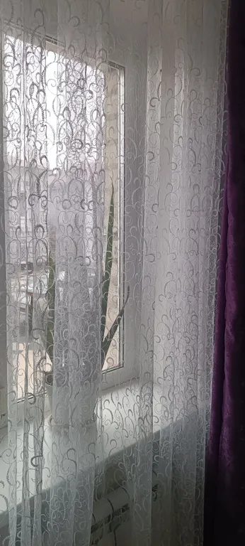 Уютная, чистая квартира в самом центре города