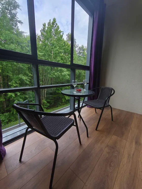 Квартира Уютные апартаменты в ЖК Берег недалеко от Финского залива — аренда посуточно в Сестрорецк