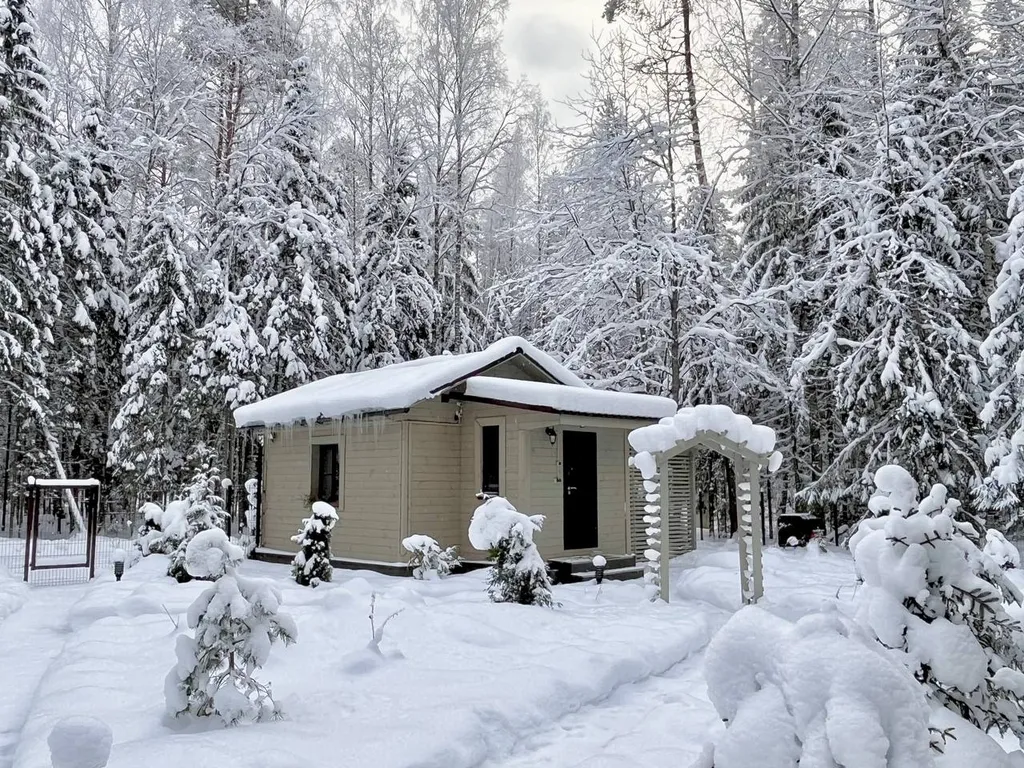 Уютный домик на озере Волго на Селигере в сосновом бору