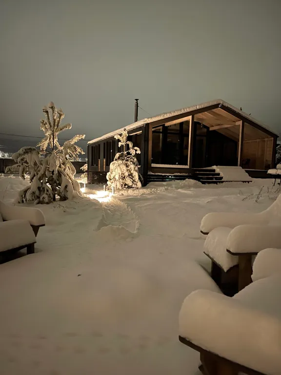 Дача в лесу с панорамными окнами
