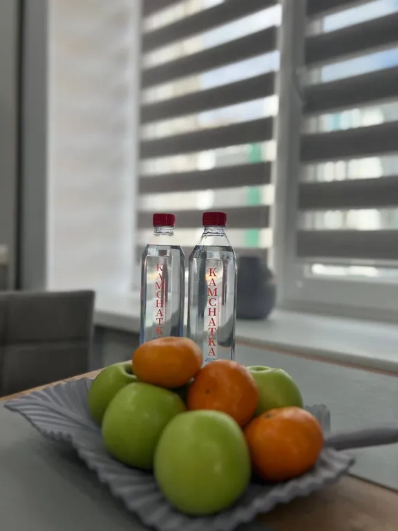 1-квартира с шикарным видом на Авачинскую бухту и Вилючинский вулкан