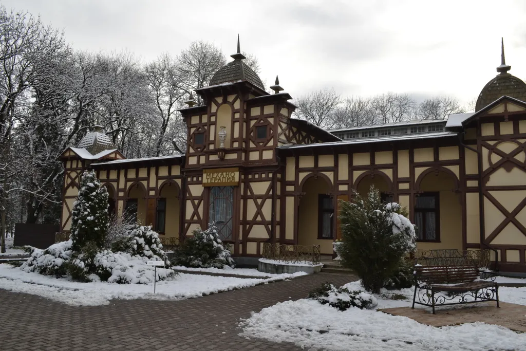 Студия Виктория-Русь